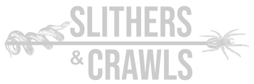 Slithers & Crawls