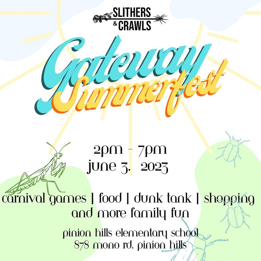 Gateway Summerfest | Carnival games, food, dunk tank, shopping, and family fun! At Pinion Hills Elementary 